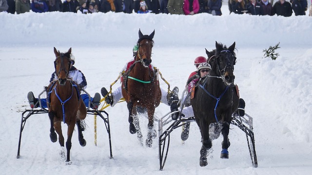 征战2026“苏超”，宿迁队全国招募选拔优秀球员
