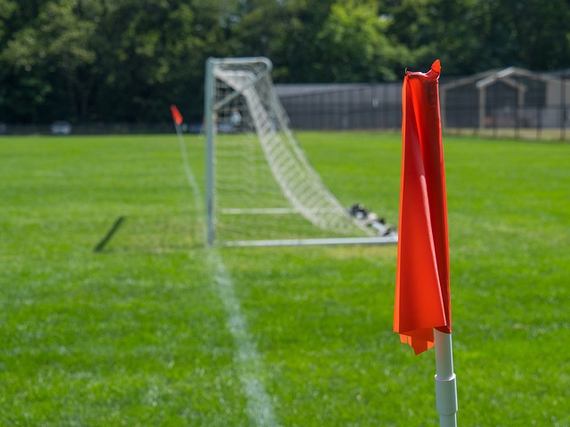 官方：前柏林联主帅费希尔执教美因茨，双方签约到2028年